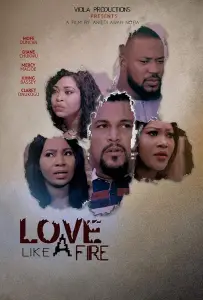 Огненная любовь (фильм 2020)