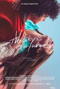 Небо повсюду (фильм 2022)