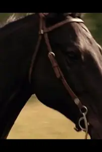 Дневник Хлои (фильм 2022)