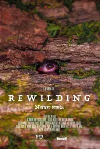 К истокам (фильм 2023)